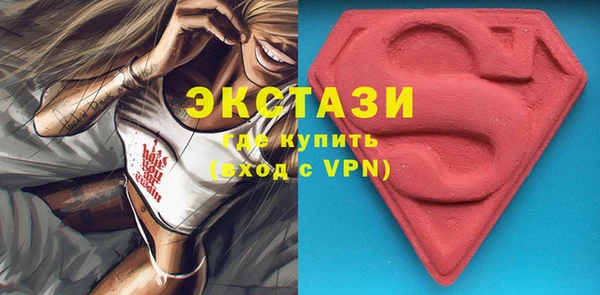 СК Алексин