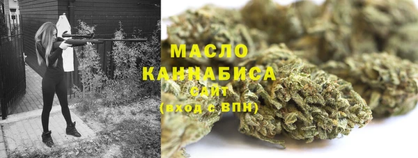 СК Алексин