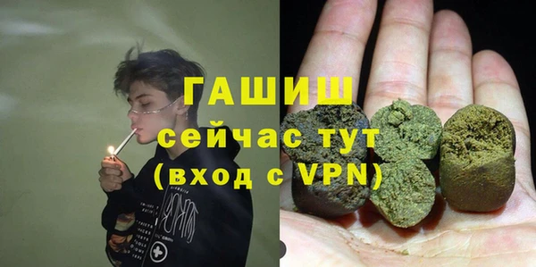 СК Алексин