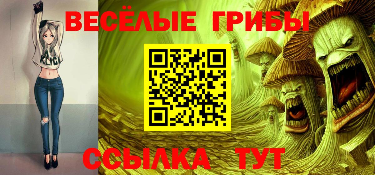 Галлюциногенные грибы Psilocybine cubensis Котельники