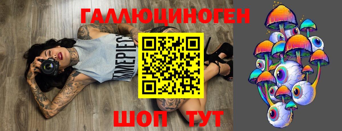 Котельники  Псилоцибиновые грибы MAGIC MUSHROOMS  Вход с VPN 